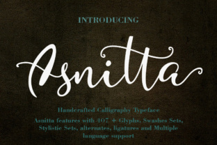 Asnitta: A Playful Script Font for Editorial Design