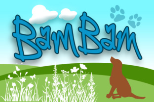 BamBam Font: A Playful Typeface for Small Business Branding