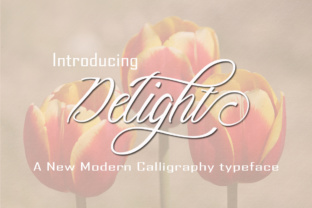 Delight: An Elegant Script Typeface for Web Design