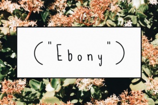 Ebony: A Messy Handwritten Font for Crafters