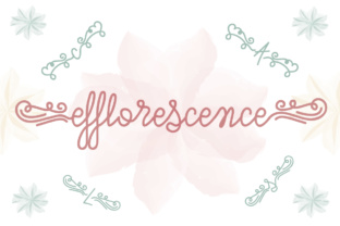 Efflorescence: The Script Font for Campaign Impact