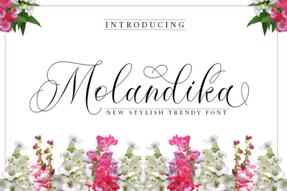 Molandika: A Script Font for Elegant Campaigns